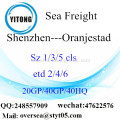 Shenzhen Port Seefracht Versand in Oranjestad